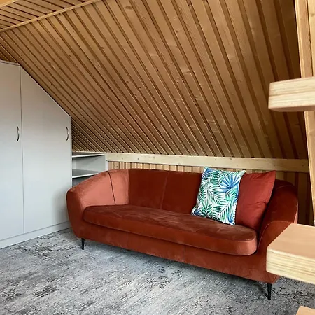 Krolewska - Wellness - Widokowe I Panzió Kościelisko